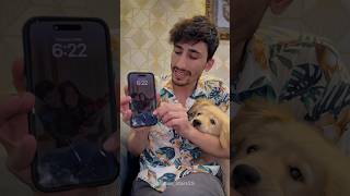 نقص های سگ نگاه کردن 😩🤣 #funny #afghani #afghanistan #vlog #afghan #comedy  #goldenretriever #dog