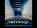 Төнге серенада