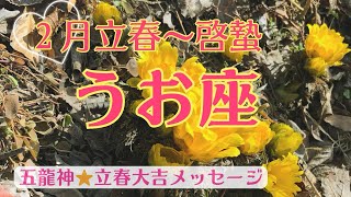 【立春大吉🌸未来のために花開くとき⭐️】うお座さん♓️立春🌸から啓蟄まで🍀大自然と五龍神様からの開運メッセージ🍀