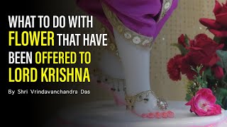 What To Do With Flower That Have Been Offered To Lord Krishna | By HG Shri Vrindavanchandra Das