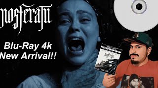 Nosferatu Blu-Ray 4k Haul !! #physicalmedia #bluray #nosferatu2024 #bluraycollection