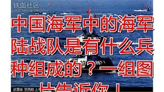 中国海军中的海军陆战队是有什么兵种组成的？一组图片告诉你！