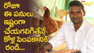 Natukodi Farming in Telugu | రోజూ ఈ పనులు ఇష్టంగా చేయగలిగితేనే కోళ్ల పెంపకానికి రండి..! | Tone Agri