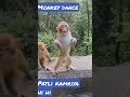 #viral 🐒bandar ka #dance #patlikamariya mor hi hi #video #monkeydance