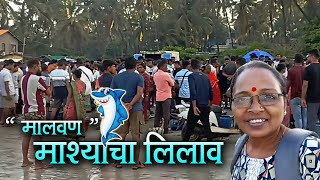 मालवण 🐬माशाचा लिलाव 🐟 प्रचंड गर्दीत भरला माशांचा लिलाव 🔥Fish Auction in Malvan 🐬#hoy maharaja vlog