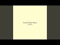 Forest River Silver