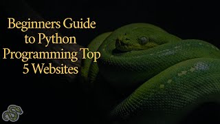 Beginners Guide to Python 🐍 Programming Top ⭐️ 5 Websites