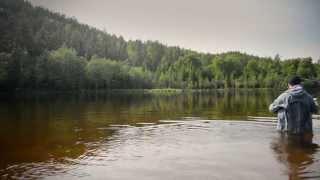 Flyfishing in Rena river Norway. Grayling and trout.