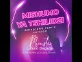 mishumo ya tshilidzi feat. mr brown dj lp levels u0026 fafa remix