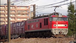 ﾚｯﾄﾞｻﾝﾀﾞｰEF510-5牽引高速貨物3098ﾚ　東青森→吹田