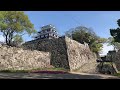 福岡城、舞鶴公園の桜🌸