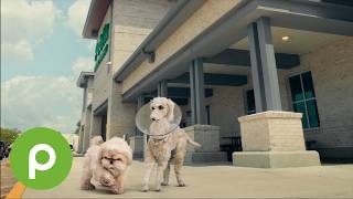 Friends can always agree on Publix.