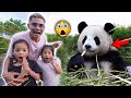 GAK NYANGKA‼️ KITA MENEMUKAN PANDA NYASAR DI BELAKANG RUMAH‼️😱