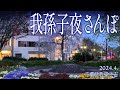 我孫子市散策【我孫子夜さんぽ〜駅から手賀沼へ〜】2024.4.千葉県我孫子市