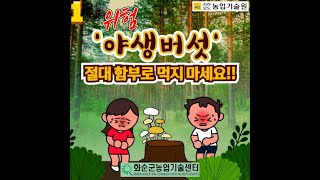 무분별한 야생버섯  섭취 조심하세요!