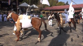 2020, in Japan　椋神社御田植祭（埼玉県秩父市）Rice planting ritual (Shinto)