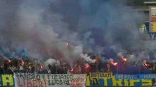 curva carrara