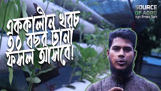 মাত্র ১০০০০ টাকায় একুয়াপনিক সেটাপ । Organic Farming । Smart MFT