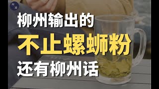 赣州人说柳州话？攀枝花人说东北话？哪儿的人又和你说一样的方言呢？【非提问不沟通】