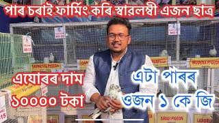 কর্মমুখী এজন ছাত্ৰই পাৰ চৰাই ফাৰ্মিং কৰি স্বাৱলম্বী হৈছে। এযোৰ পাৰৰ দাম ১০০০০ টকা। #pigeon #uparjan