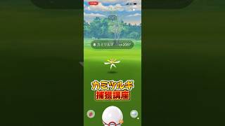 カミツルギの熨斗袋とかポケセンで売ってたら欲しいよね??使わないけどw【ポケモンGO】