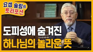 [Brad TV] 요셉 슐람의 토라포션 42주 '마토트' 43주 '마쎄이’ - 도피성에 숨겨진 하나님의 놀라운 뜻