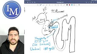 Diabetes 2 | Cuadro clínico y fisio patología