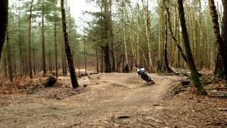 Swinley Forest mtb \