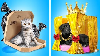 POOR CAT vs RICH DOG | Pets Were ADOPTED by Rich Family | If people acted like Pets by La La Life
