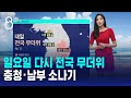 [날씨] 일요일 다시 전국 무더위…충청·남부 소나기 / SBS 8뉴스