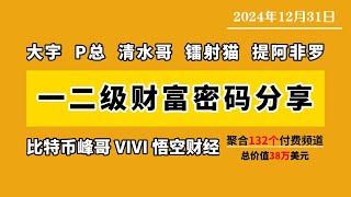 AI16Z+ELIZA,VIRTUAL+GAME，25年一季度财富集中地，比特币受到SPX影响，会去到7.8万美金？#btc #web3 #eth #elizabeth #ai #ai16z