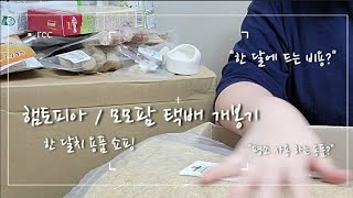 [세히네 김뽀얌 #06] 모모팜, 햄토피아 택배개봉기 / 햄스터 한 달 용품