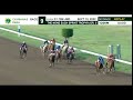 QUICKGALLOP.COM JAMAICA HORSE RACING: I AM FRED WINS PULSATING RACE 9 - SAT, SEPT 10, 2022