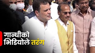 राहुल गान्धी ठमेलको क्लबमा गएको भिडियोले भारतमा तरंग | Galaxy News Report