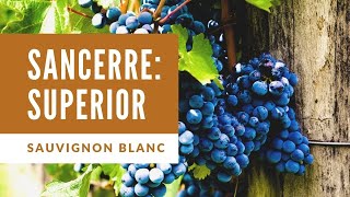 Sancerre White Wine & Pairing || Full Tasting