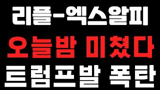 [엑스알피-리플코인] 오늘밤 미쳤다 ! 트럼프발 폭탄 ! (불독코인,비트코인,급등코인,코인단타)