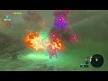 【botw】【ブレワイ】アッカレ古代研究所の危ないおっさん　 16