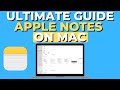 How To Use Apple Notes on Mac: Full Tutorial 🍎