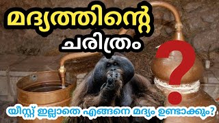 History of Alcohol | മദ്യത്തിന്റെ സംഭവബഹുലമായ കഥ | ഒപ്പം ചില പൊടിക്കൈകളും | Kuppithan