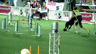 Agility Individual Large AWC 2011 - #147 TAMMSALU SIRJE and RUSCH MIX RURIK