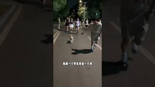 被体育大学的大学生溜完之后，我的狗… #年轻人养宠图鉴 #宠物天团