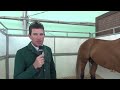 horsejunkiesunited.com conor swail barn tour at spruce meadows