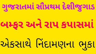 કપાસમાં નિંદામણના ડબલ ભુકા કાઢતો દેશીજુગાડ પહેલા બમ્ફર અને પાછળ રાપ એકસાથે ચલાવતા ગુજરાતના ચંદુભાઈ