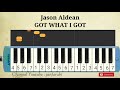 Jason Aldean - GOT WHAT I GOT - easy melodica