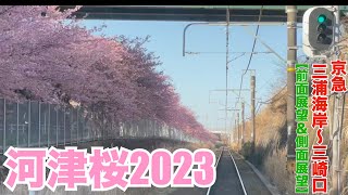 河津桜2023 京急三浦海岸駅〜三崎口駅 前面展望\u0026側面展望　Kawazu Sakura Japan the view from the train window