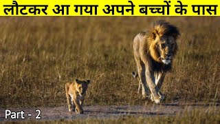 जो पिता परिवार को छोड़कर गया था, वो वापस लौटकर आ चुका है || The True Story Of Lion Pride