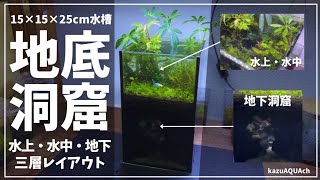 地底洞窟３層レイアウト水槽立ち上げ　＃aquarium ＃水槽立ち上げ