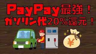 PayPay最強！ガソリン代20%還元のやり方を紹介！