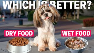 Dry Food vs Wet Food: Which is Better for Shih Tzu?