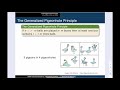 Comb 01-05 Pigeonhole Principle